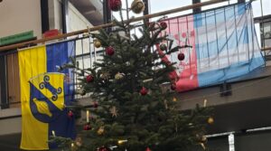 Friedliches Fest & guten Start ins neue Jahr!