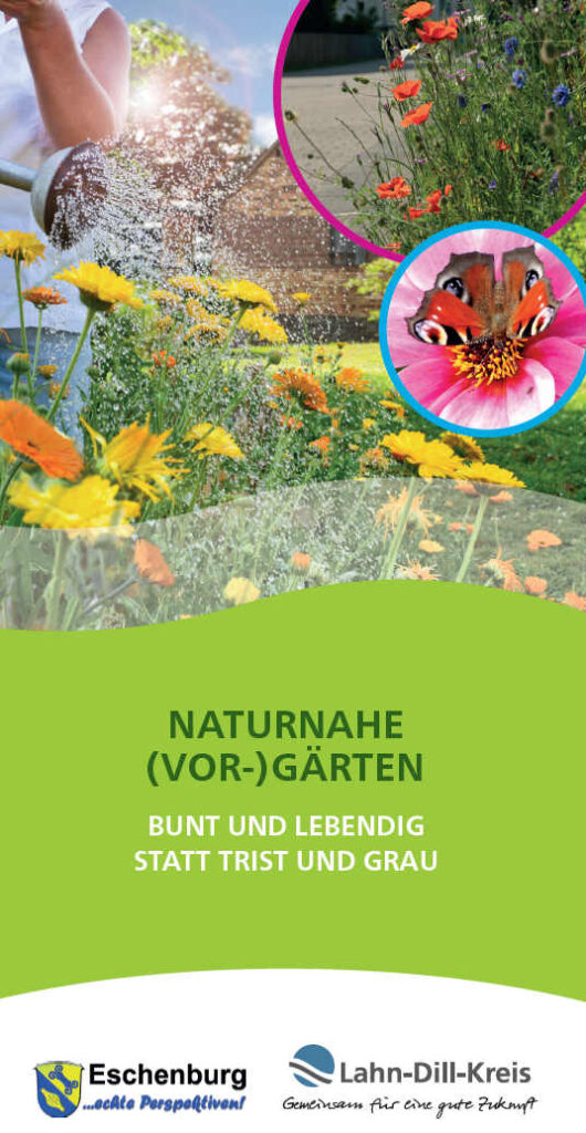 Hier geht es zu unserem Faltblatt 